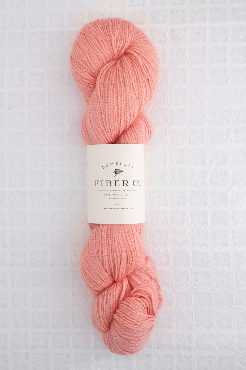 Camellia Fiber Company Sylvan Fingering