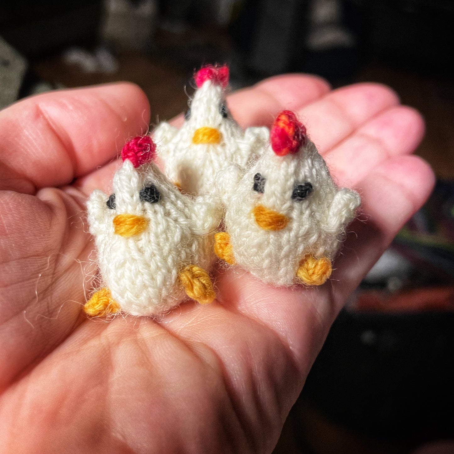 Spring Chickens Class