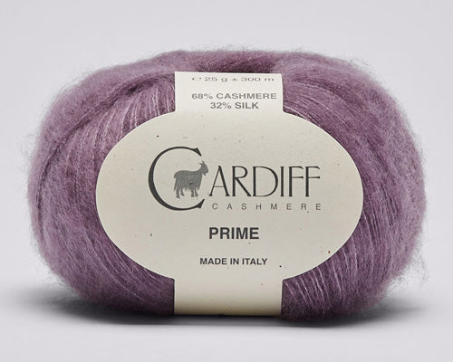 Cardiff Prime