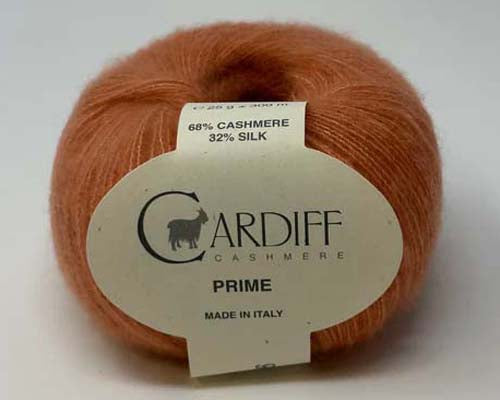 Cardiff Prime