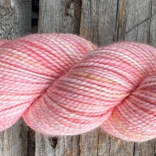 Koigu KPM/ KPPM