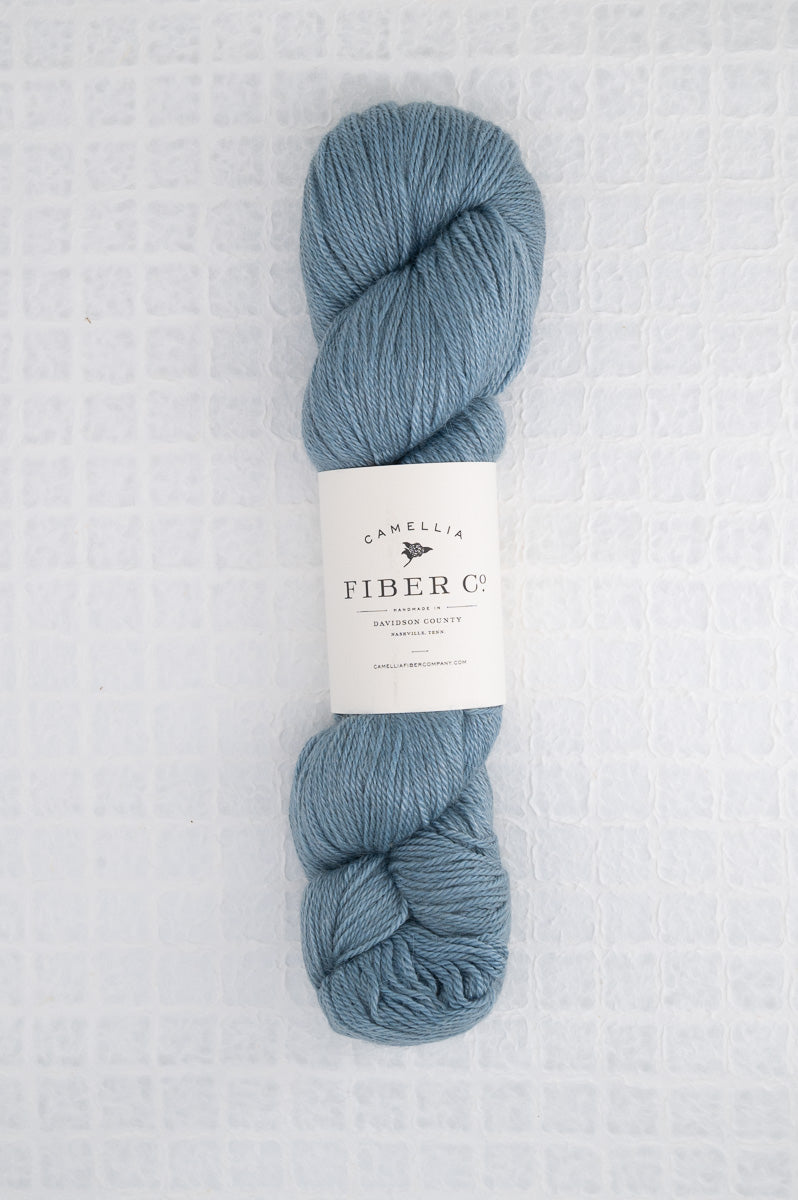 Camellia Fiber Company Sylvan Fingering
