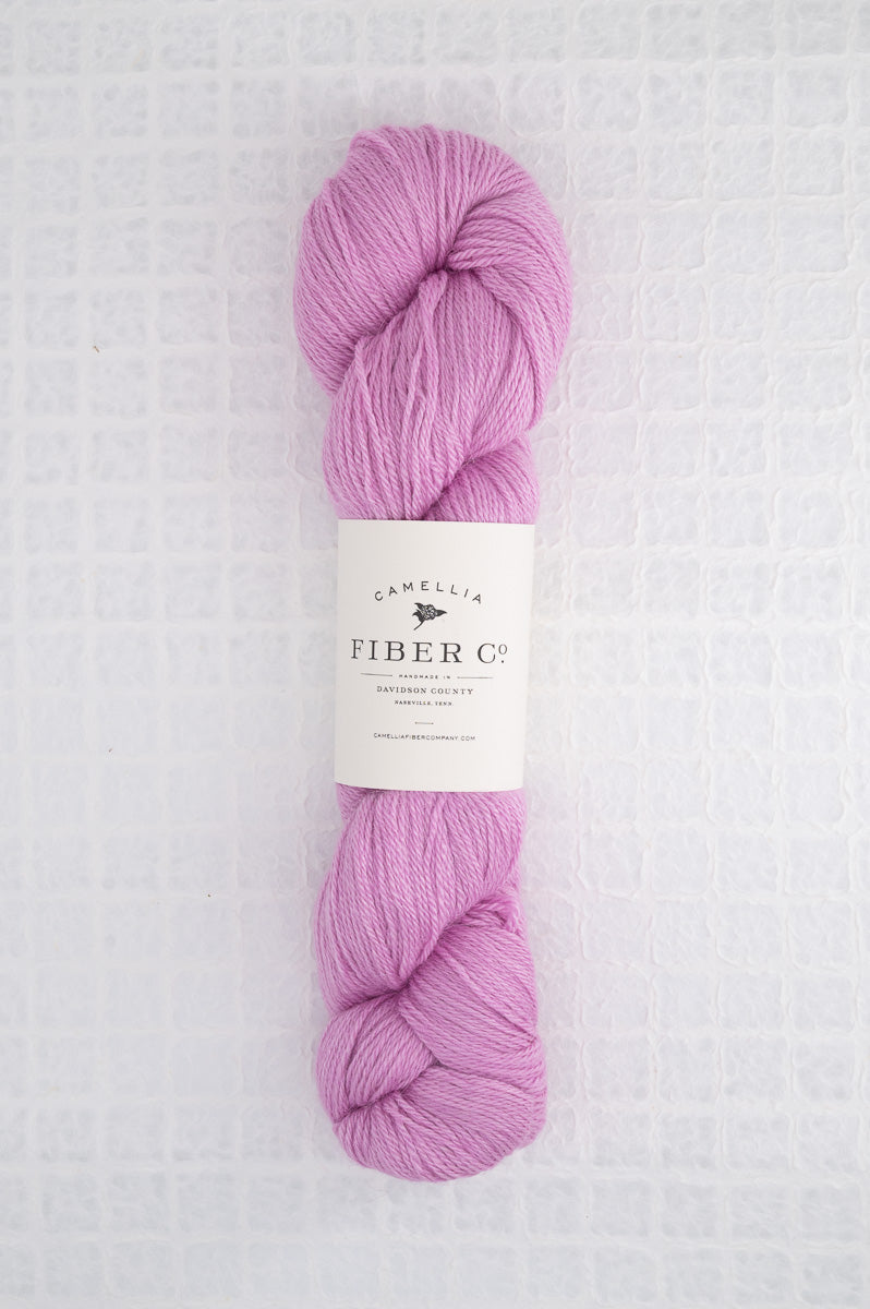 Camellia Fiber Company Sylvan Fingering