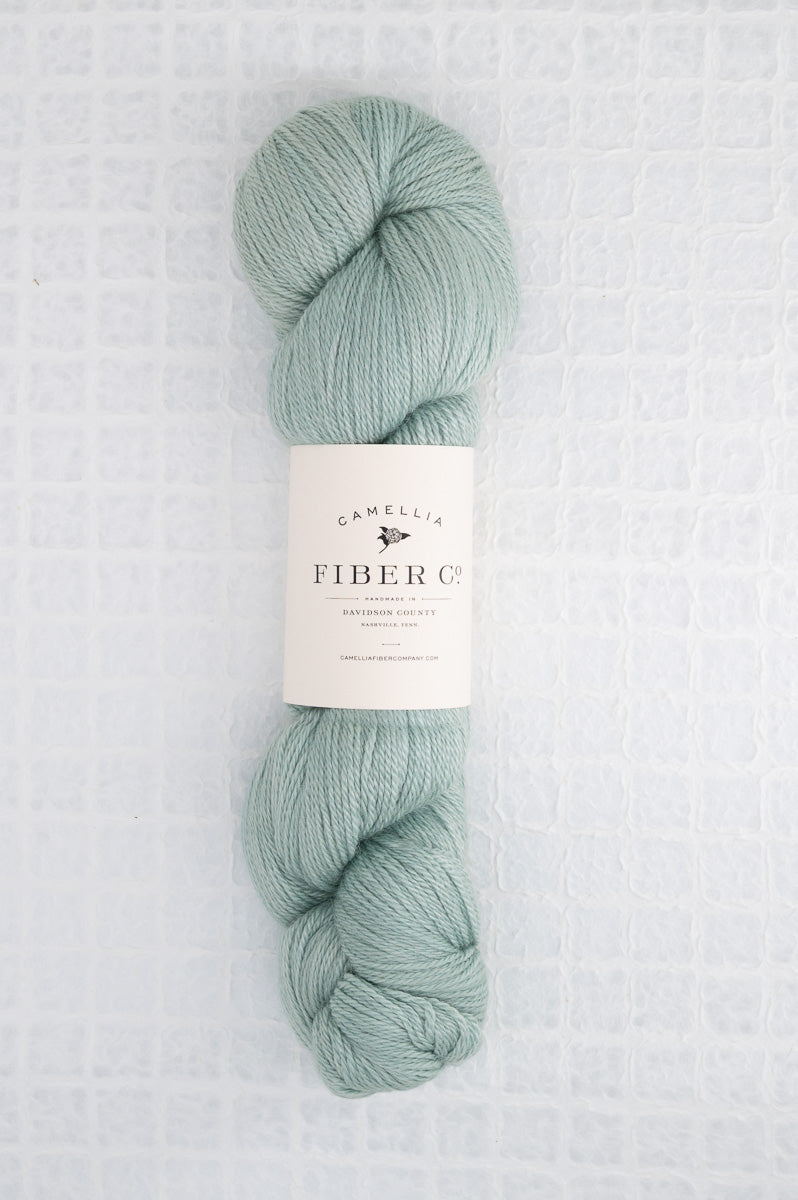 Camellia Fiber Company Sylvan Fingering