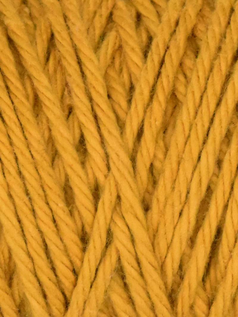 Queensland Coastal Cotton